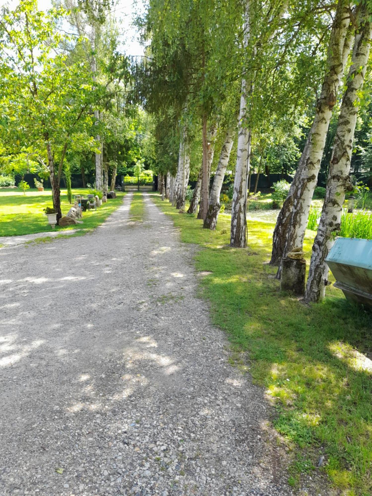 Gite Au Reflet D'Auvers エクステリア 写真